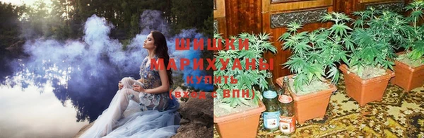шишки Балабаново