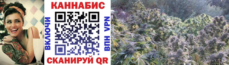 Марихуана White Widow  Нея 